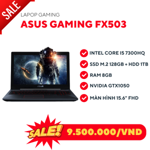 Laptop Asus FX503 40776