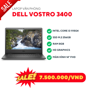 Laptop Dell Vostro 3400 40813