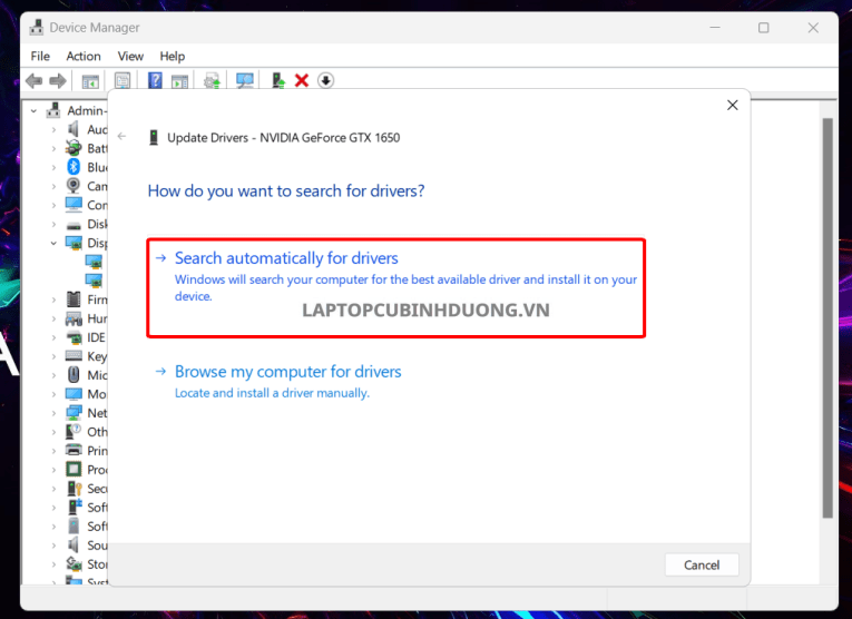 Hướng dẫn cập nhật driver cho Windows 11 đầy đủ, nhanh chóng 36343