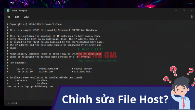 Hướng dẫn chỉnh sửa file host trên Windows 11 36248