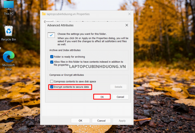 Hướng dẫn các cách đặt mật khẩu Folder trên Windows 11 40167