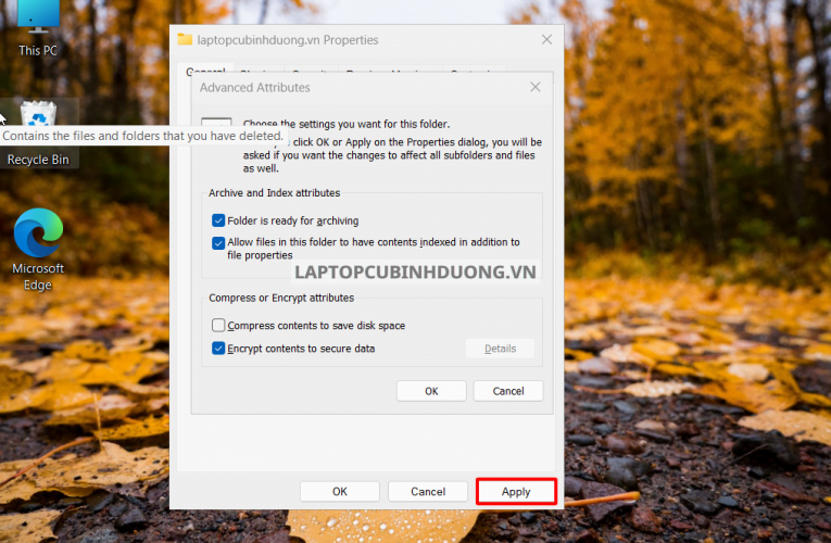 Hướng dẫn các cách đặt mật khẩu Folder trên Windows 11 40168