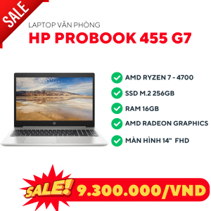 HP Probook 455 G7 - Laptop Cũ Bình Dương 40396