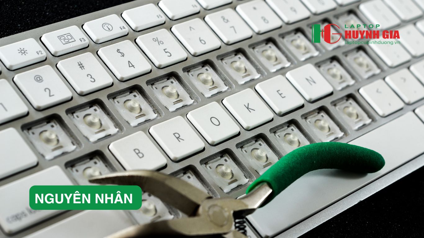 Thay bàn phím laptop Thủ Dầu Một: Giá rẻ, Chính Hãng, Bảo Hành Dài Hạn - 10 Laptop Cũ Bình Dương - nguyen nhan ban phim hu