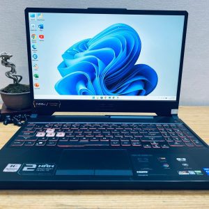 màn hình ASUS TUF Gaming F15 FX506HF