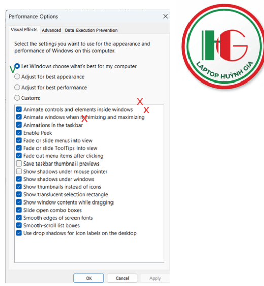 hướng dẫn setting perfomance options